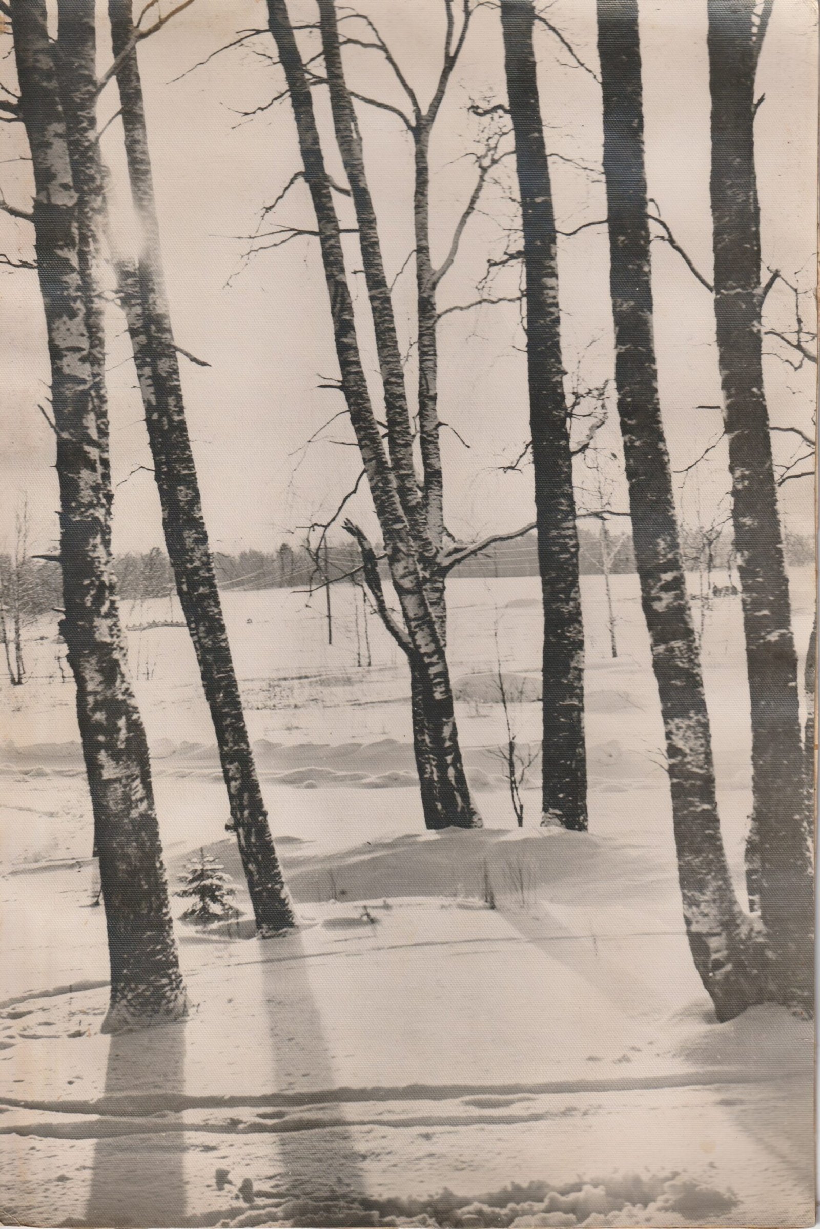 Archives -photos en vrac